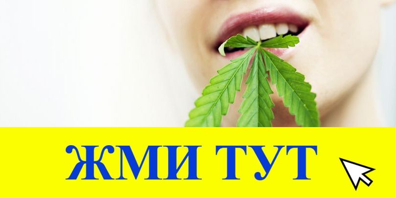 Купить наркотики в Геленджике